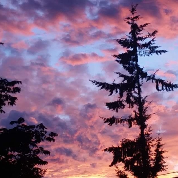 ALL $5.00 Starts, Unlisted Items Tops, Dress, Skirts, Pants & more - Picture 9 of 10